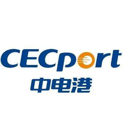 中电港