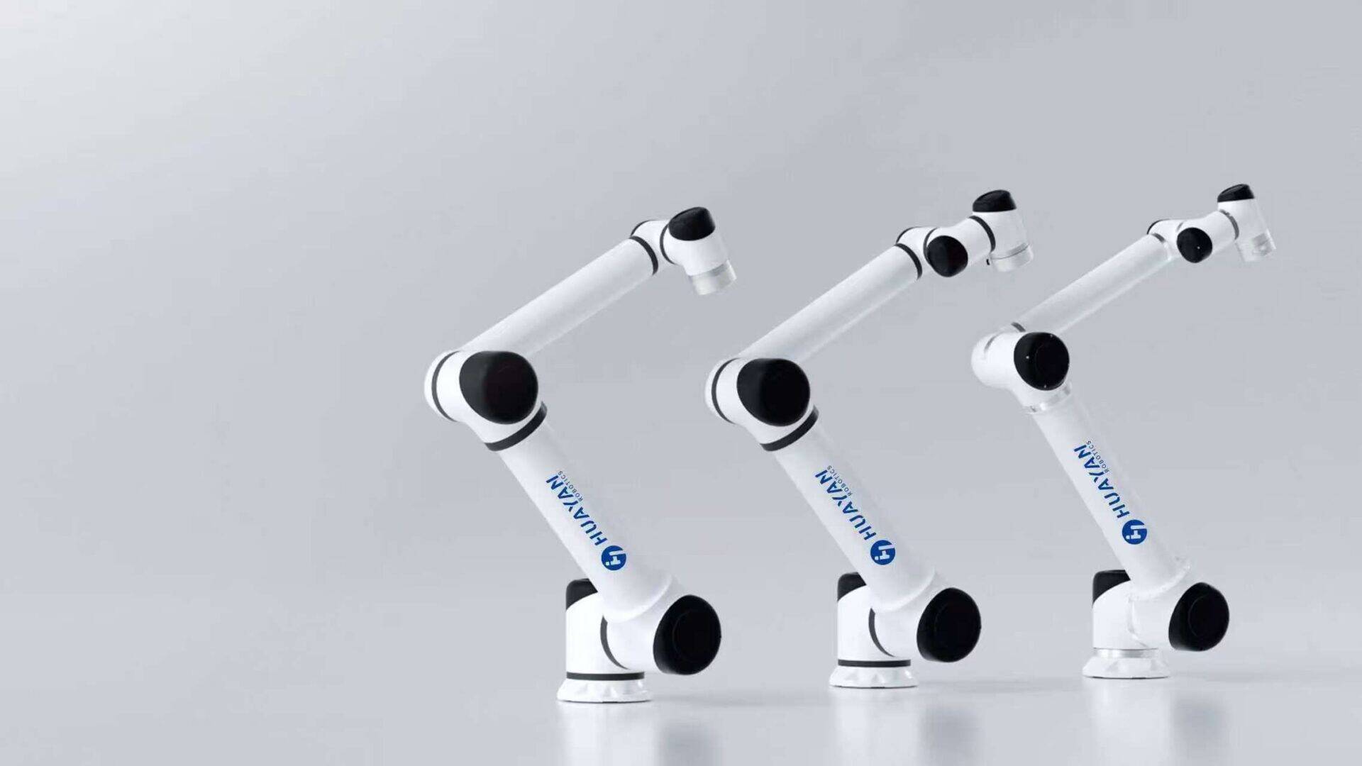 S Heavy Payload Robot