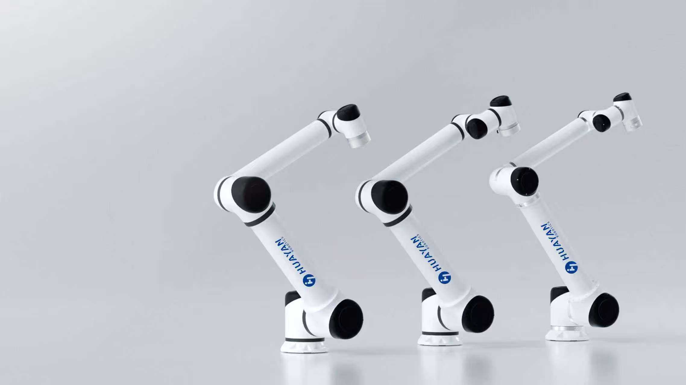 S Heavy Payload Robot